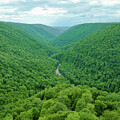 Lindy Point Overlook in Blackwater Falls State Park