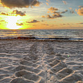 Disappearing Tracks in the Sand