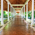 Is the path your on the path you chose?