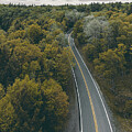 Scenic Winding Road through Blackwater Forest