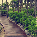 The Path to Peace