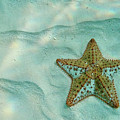 Wish Upon a Star